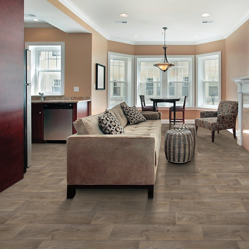 Ranieri Flooring providing pet-friendly waterproof vinyl flooring in Trappe, PA Comfort Life-Toronto 829