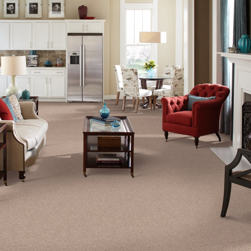 Ranieri Flooring providing stain-resistant pet proof carpet in Trappe, PA  -Sp50(s)- 18 (S)